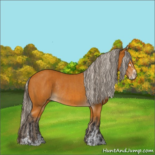 Horse Color:Buckskin Sabino Rabicano  and Silver Buckskin Sabino Rabicano 