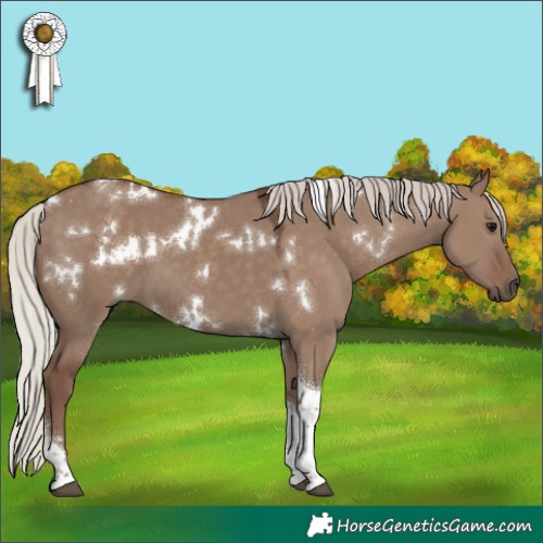 Horse Color:White Spotted Silver Grullo Tobiano 