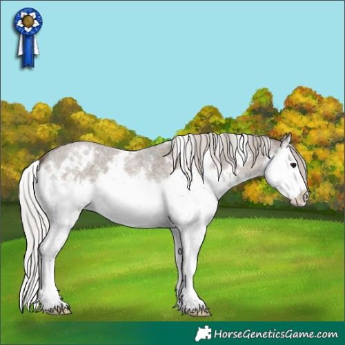 Horse Color:White Spotted Silver Grullo Roan Splash 