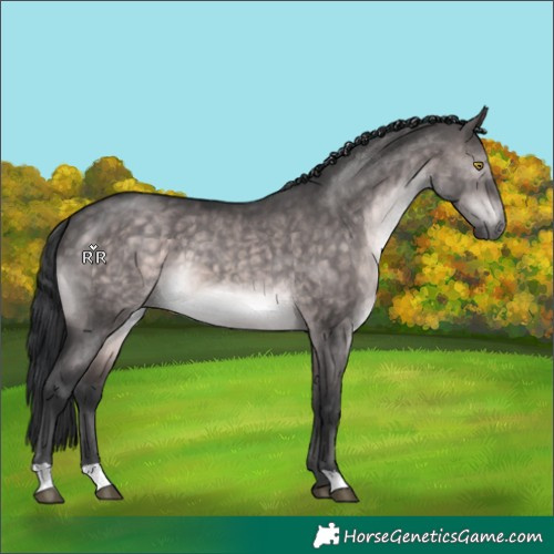 Horse Color:Platinum Brown Dun 