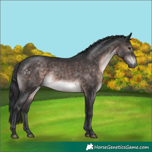 Horse Color:Platinum Brown 