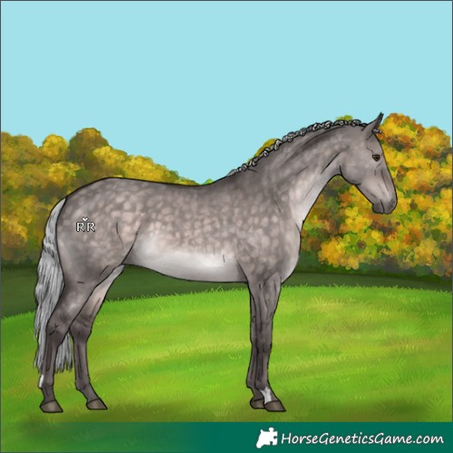 Horse Color:Platinum Silver Brown Dun 