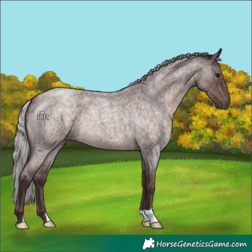 Horse Color:Platinum Chocolate Silver Brown Roan 