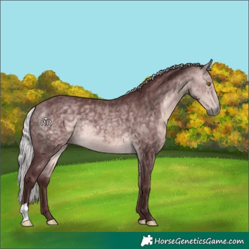 Horse Color:Platinum Chocolate Silver Buckskin 