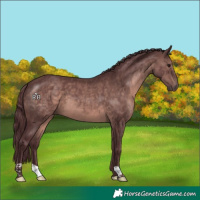 Horse Color:Platinum Chocolate Brown 