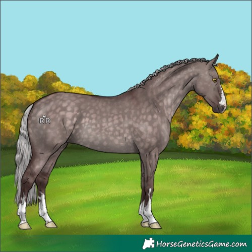 Horse Color:Platinum Chocolate Silver Brown Dun 
