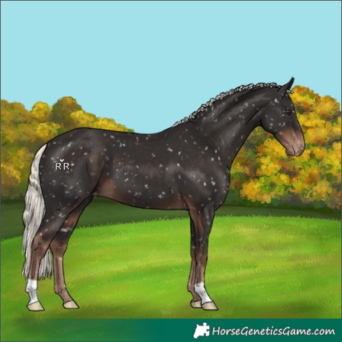 Horse Color:Liver Chestnut Mushroom Snowflake Varnish
