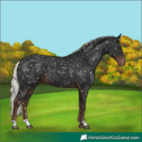 Horse Color:Liver Chestnut Mushroom Snowflake Varnish