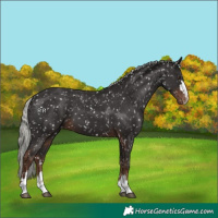 Horse Color:Liver Chestnut Mushroom Snowflake Varnish