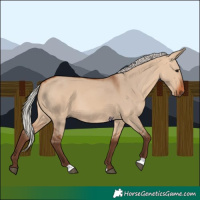 Horse Color:Silver Bay Dun 