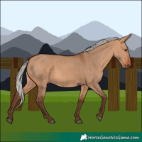 Horse Color:Silver Bay Dun 