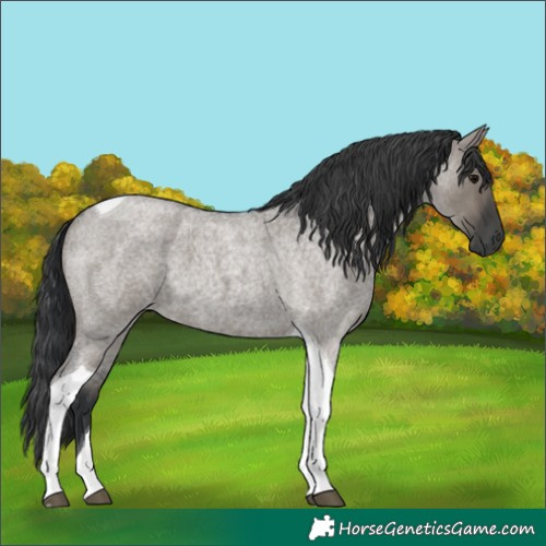 Horse Color:Grullo Roan Tobiano 