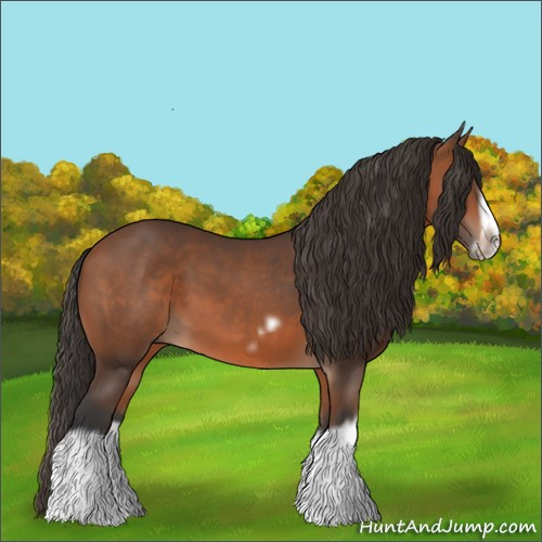 Horse Color:Bay Splash Frame