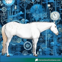 Horse Color:Chestnut Appaloosa and Chestnut Appaloosa