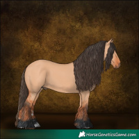 Horse Color:Bay Dun