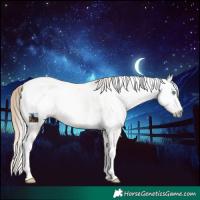 Horse Color:Gray Smoky Creme Tobiano Appaloosa Rabicano 