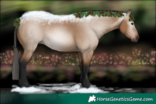 Horse Color:Gray Bay Dun 