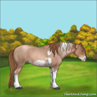 Horse Color:Liver Red Roan Pearl Tobiano Frame 