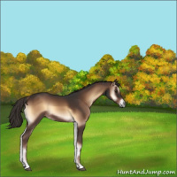 Horse Color:Liver Red Onyx 