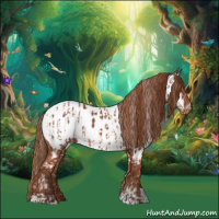 Horse Color:Chestnut Near Leopard  and Chestnut Near Fewspot 