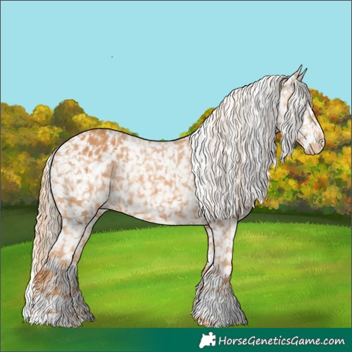 Horse Color:Chestnut Appaloosa  and Chestnut Appaloosa 