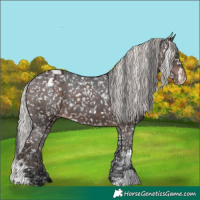Horse Color:Brown Snowflake Varnish  and Silver Brown Snowflake Varnish 