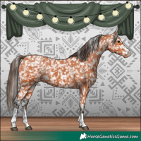Horse Color:Bay Snowflake Varnish and Bay Snowflake Varnish