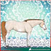 Horse Color:Red Dun Roan Splash Frame Rabicano 