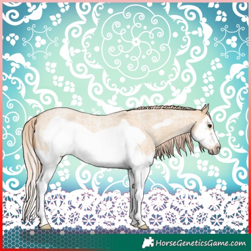 Horse Color:Red Dun Roan Splash Frame Rabicano 