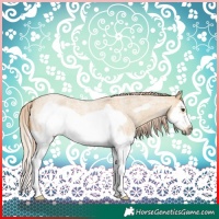 Horse Color:Red Dun Roan Splash Frame Rabicano 