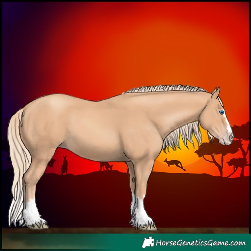 Horse Color:Gold Champagne Splash 