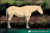 Horse Color:Silver Buckskin 