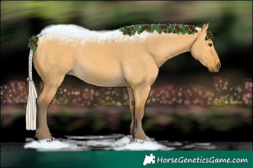 Horse Color:Silver Buckskin Dun 