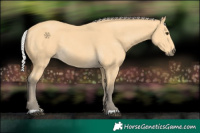 Horse Color:Silver Buckskin 