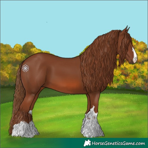Horse Color:Chestnut 