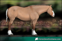 Horse Color:Silver Bay Dun