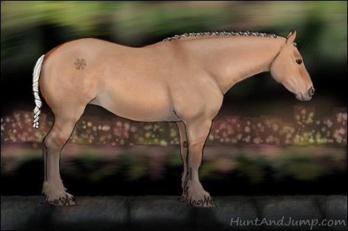 Horse Color:Silver Bay Dun