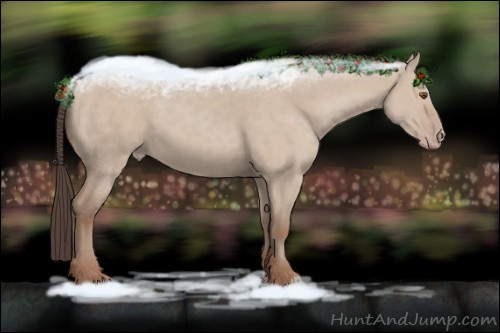 Horse Color:Classic Champagne Dun 