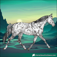 Horse Color:Platinum Brown Snowdrop Pearl Dun Splash Appaloosa  and Platinum Brown Dun Appaloosa Brindle 