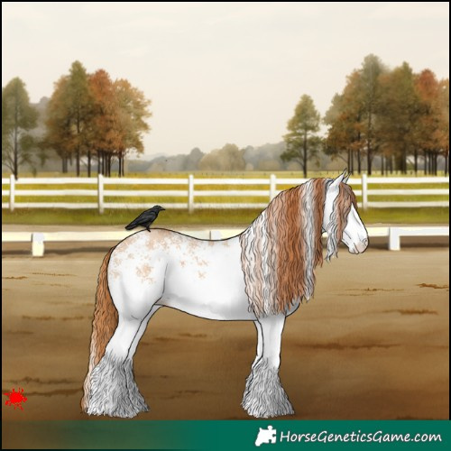 Horse Color:White Spotted Red Dun 