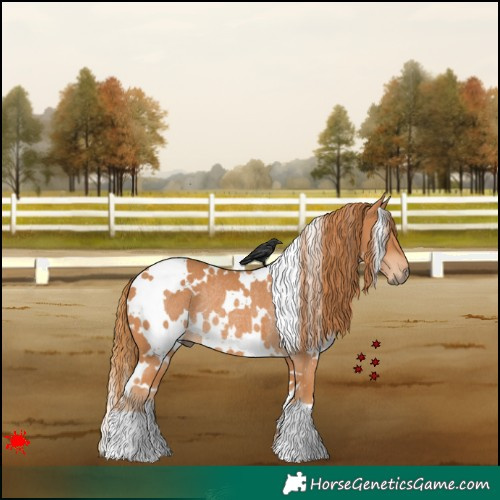 Horse Color:White Spotted Chestnut Rabicano 