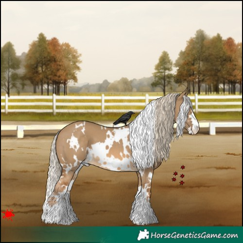 Horse Color:White Spotted Chocolate Palomino Dun 
