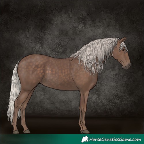 Horse Color:Silver Black 