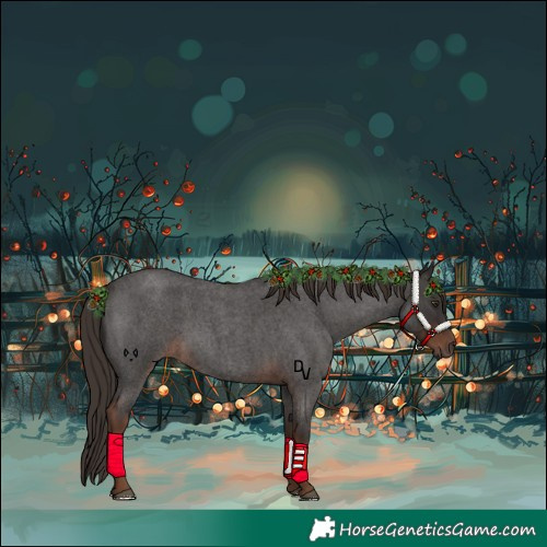 Horse Color:Liver Red Roan 