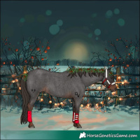 Horse Color:Liver Red Roan 