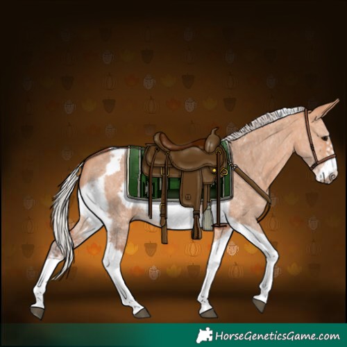 Horse Color:Silver Bay Dun Sabino Tobiano Frame Rabicano 