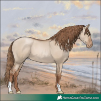 Horse Color:Grullo Pearl 