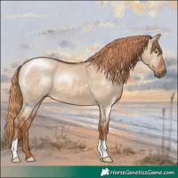 Horse Color:Red Dun 