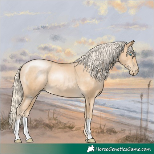 Horse Color:Palomino Pearl 