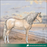 Horse Color:Palomino Pearl 